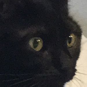 Meet your Posher, Halie